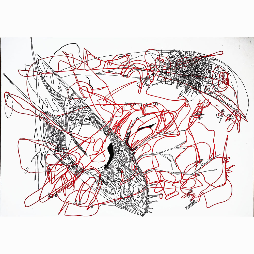 gallery/sharda_regalos 2018-02