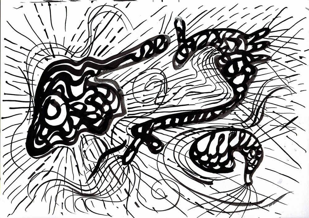 gallery/ciclo evolutivo4