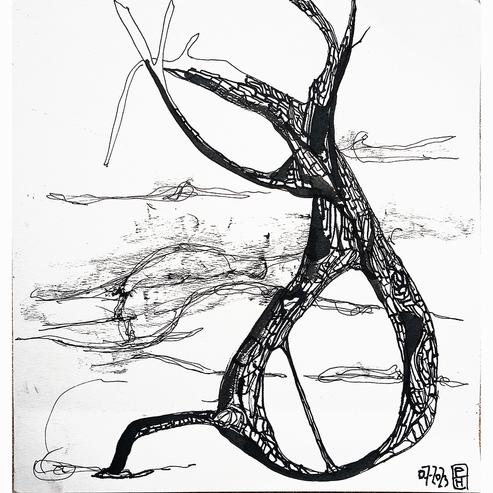 gallery/sharda_regalos 2014-01