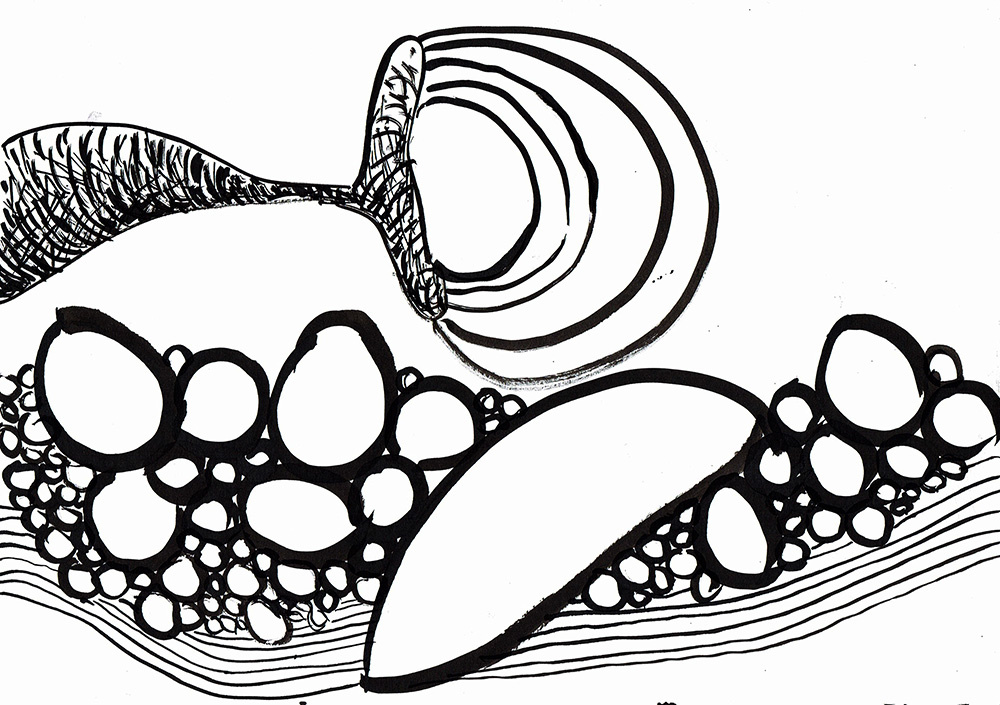 gallery/ciclo evolutivo2