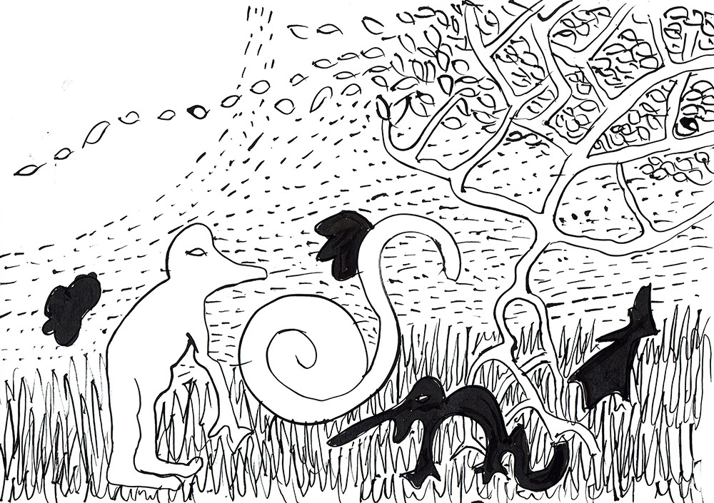 gallery/ciclo evolutivo4